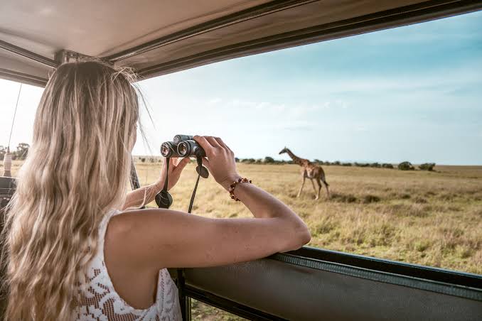 Viajera observando una jirafa con binoculares desde un vehículo de safari